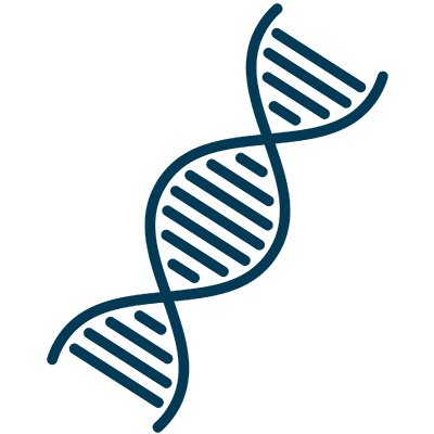 DNA-Strand